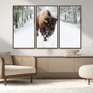 Bison Wall Art Canvas Print For Farmhouse, Animal Canvas