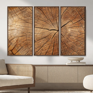 Tree Ring Canvas Art, Rustic Wood Grain Wall Art, Tree Slice