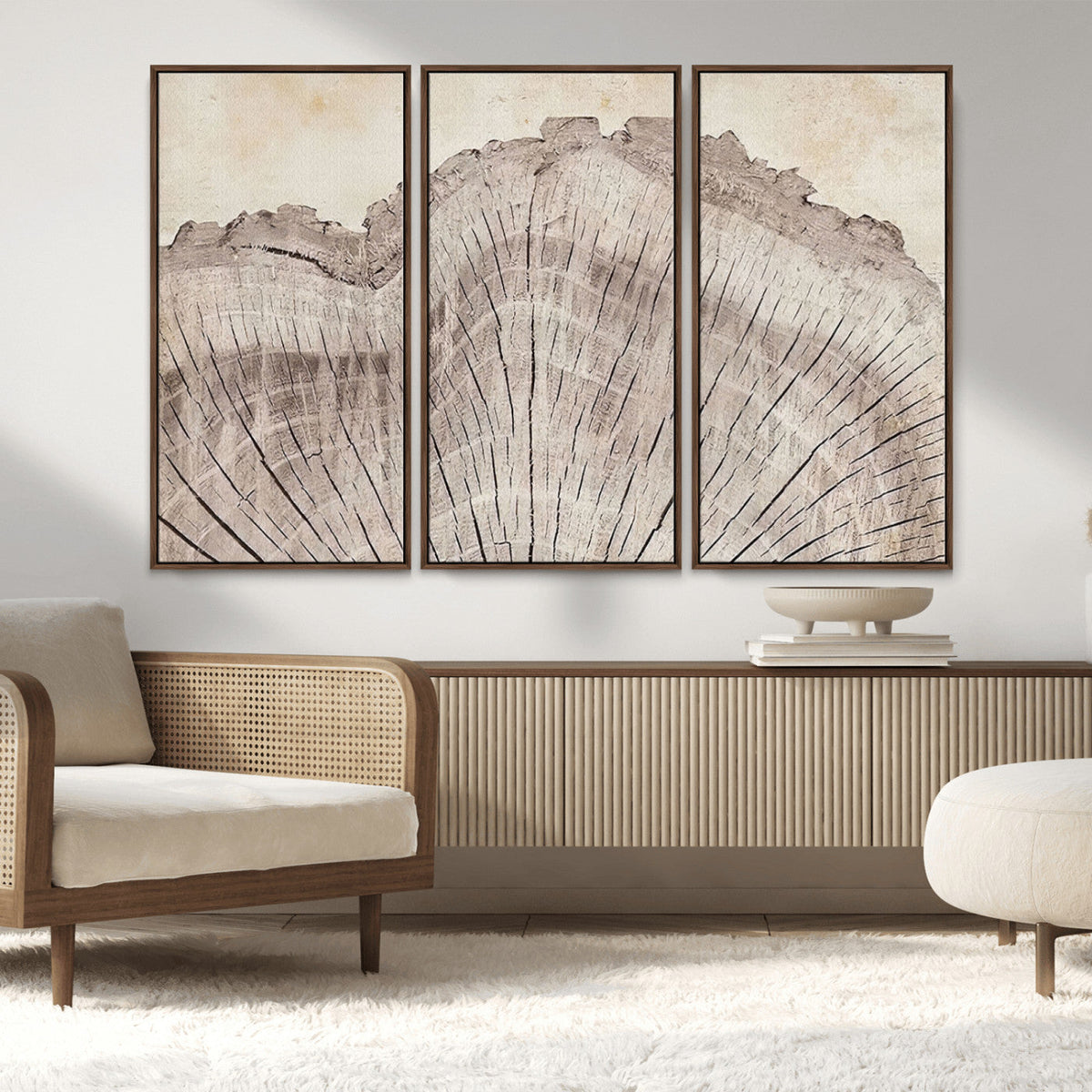 Tree Ring Wall Art Triptych, Rustic Wood Ring Canvas Print,