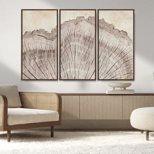 Tree Ring Wall Art Triptych, Rustic Wood Ring Canvas Print,