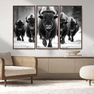 American Bison Art | Buffalo Herd Wall Art Canvas Print, BW