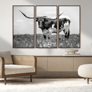 Texas Black White Highland Longhorn Cow Wall Art Canvas