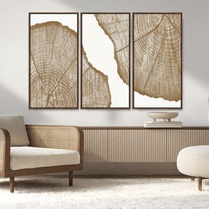 Rustic Brown Tree Ring Wall Art Canvas Print – Framed and