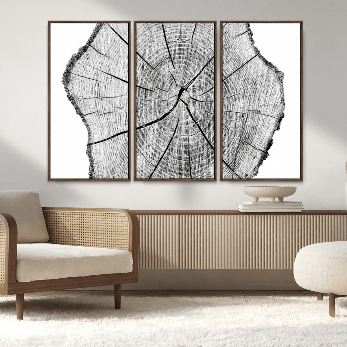 Rustic Tree Ring Wall Art Canvas Print – Framed and Ready to