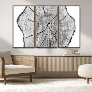 Rustic Tree Ring Wall Art Canvas Print – Framed and Ready to