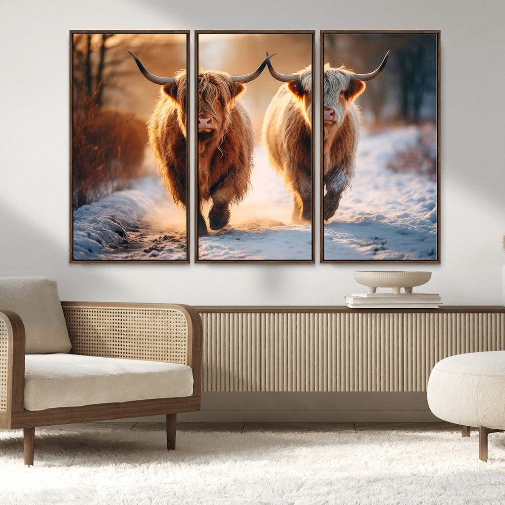 Scottish Highland Cow Horn Farm Wall Art Canvas Print