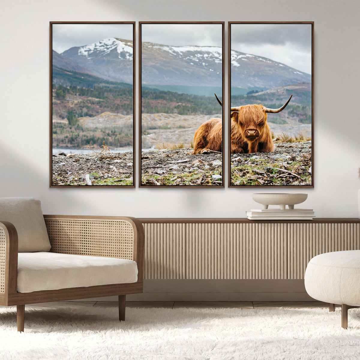Highland Cow Horn Farm Wall Art Canvas Print