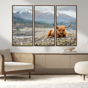 Highland Cow Horn Farm Wall Art Canvas Print