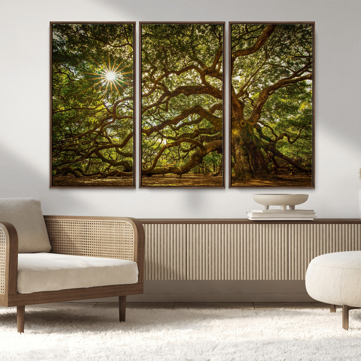 Ancient Angel Oak Tree Art Sunburst Canvas Print-
