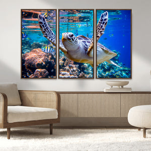Underwater Sea Turtle Wall Art Canvas Print – Vibrant Ocean