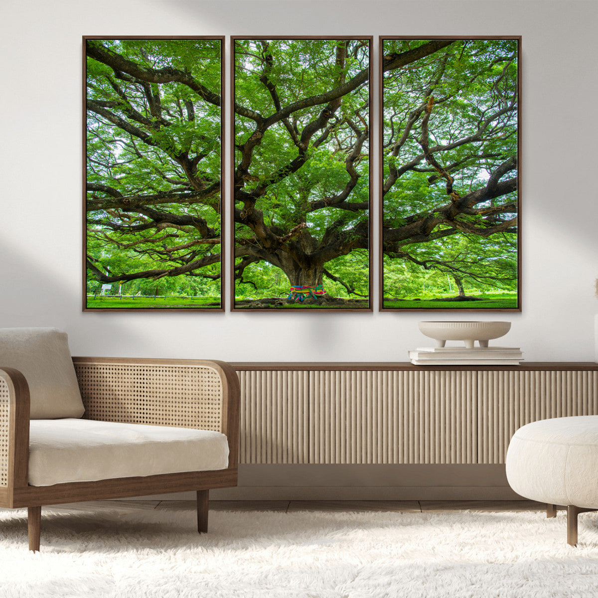 Angel Oak Tree Wall Art Canvas Print – Framed Majestic