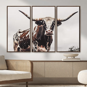 Texas Longhorn Wall Art Canvas Print – Framed Spotted Bull