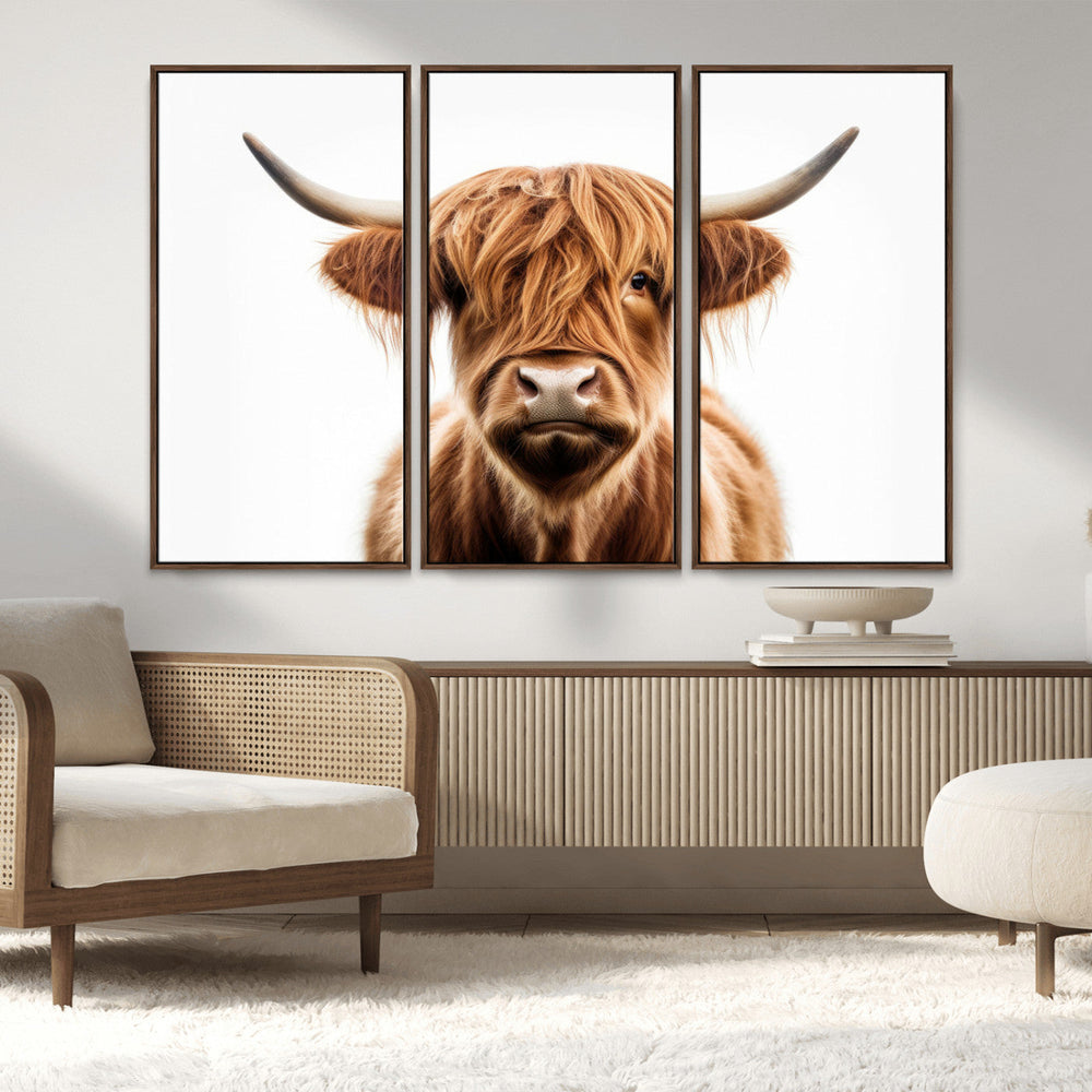 Scottish Highland Cow Canvas Print, Framed Highland Cow