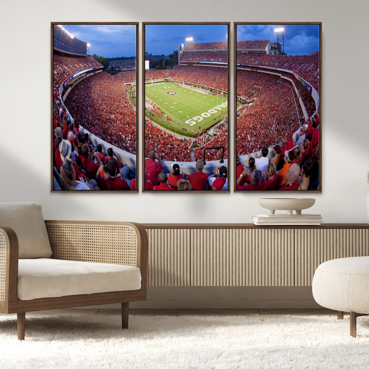 Dooley Stadium Wall Art, Sports Arena Canvas Print, Dooley