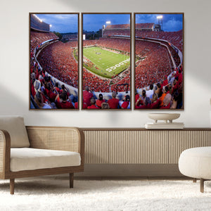 Dooley Stadium Wall Art, Sports Arena Canvas Print, Dooley