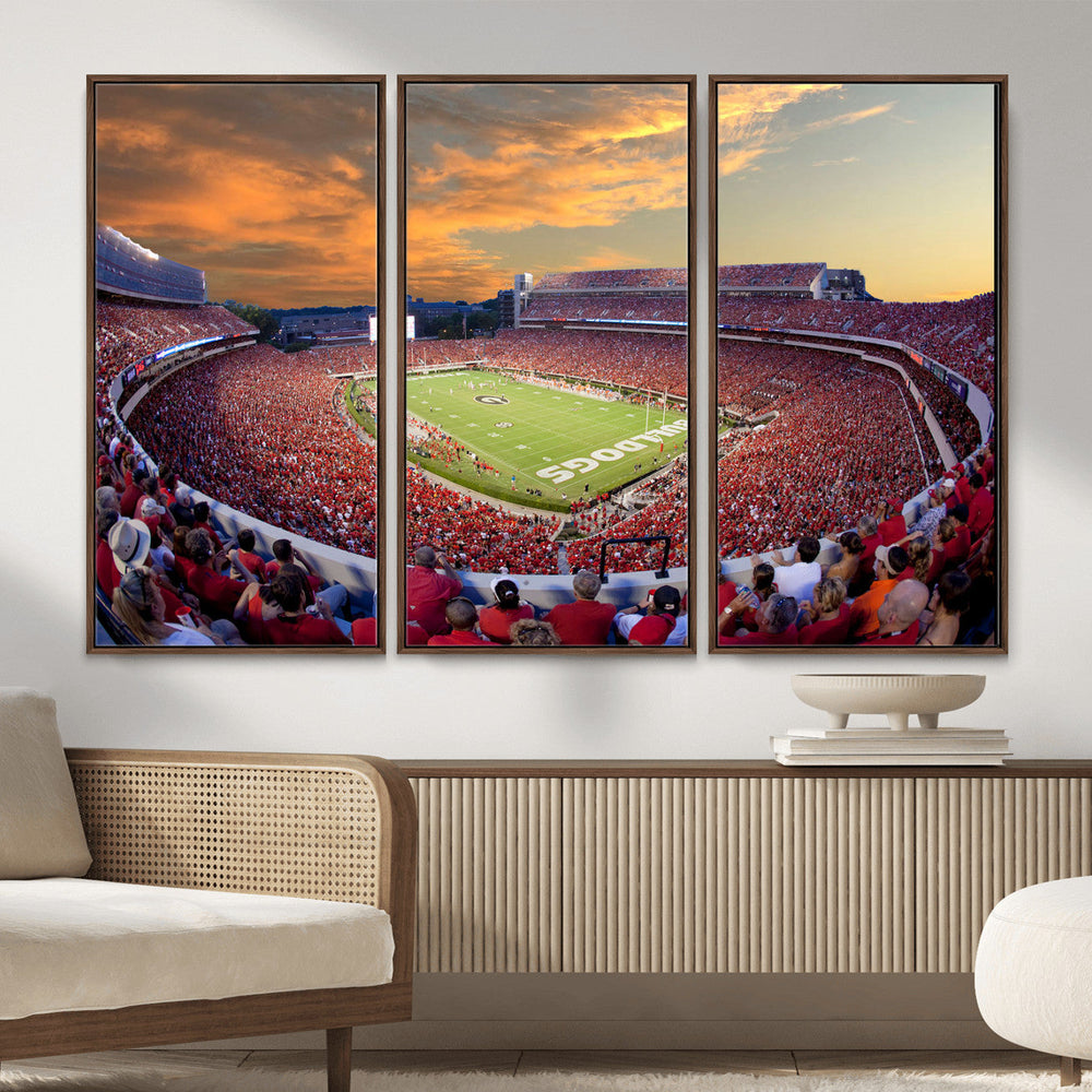 Dooley Stadium Wall Art, Sports Arena Canvas Print, Dooley