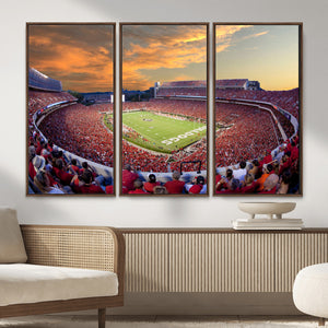 Dooley Stadium Wall Art, Sports Arena Canvas Print, Dooley