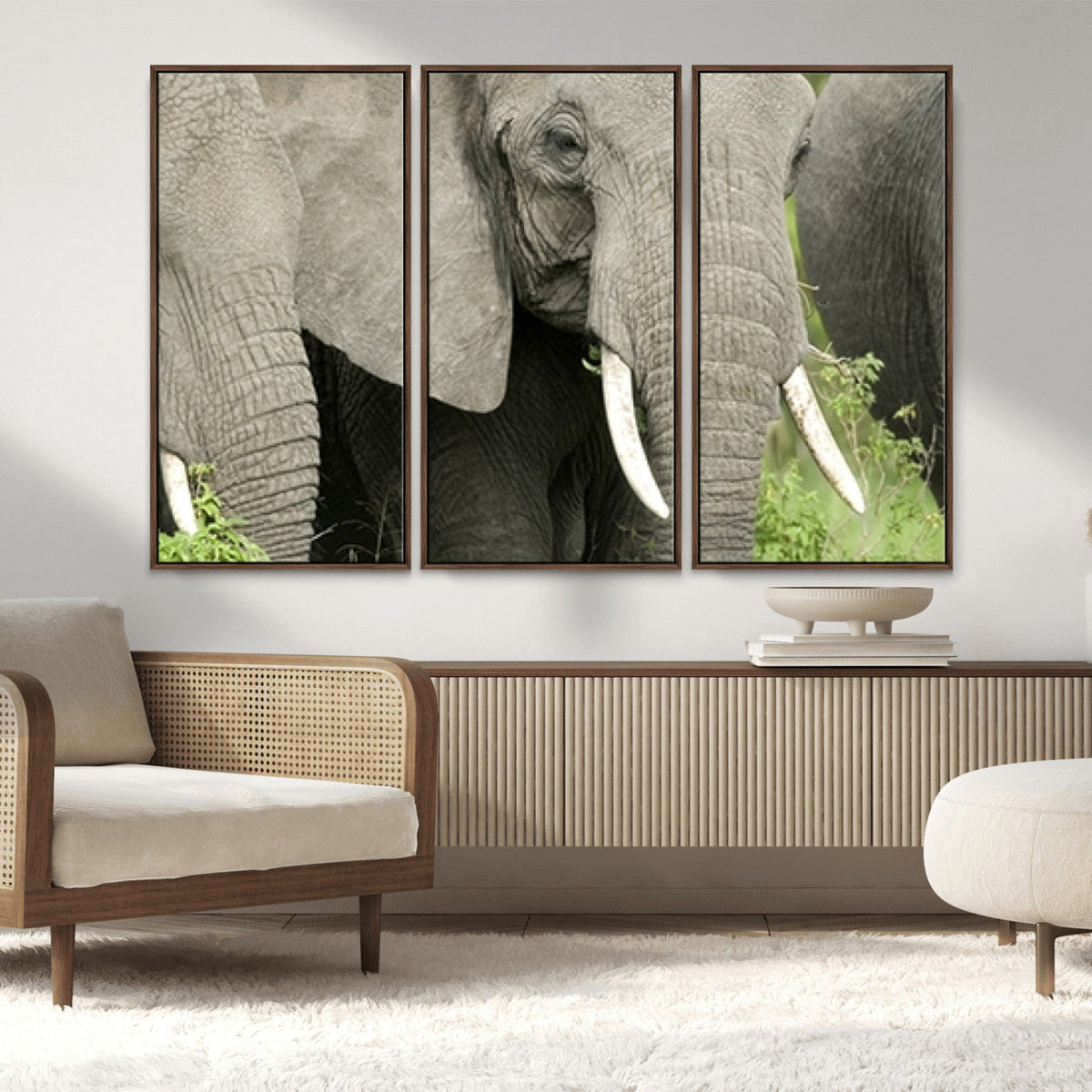 Wild Elephant Wall Art Canvas Print