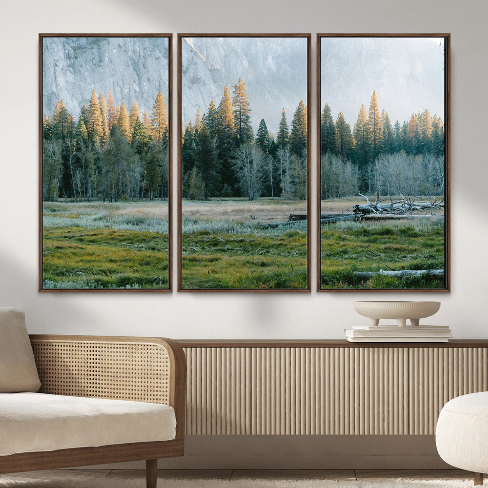 Forest Meadow Wall Art Canvas Print, Pine Tree Landscape