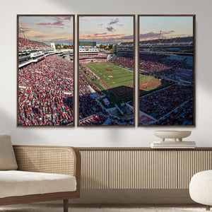 Donald W. Reynolds Razorback Stadium Wall Art Canvas Print –