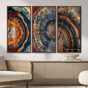 Tree Ring Triptych Canvas Wall Art — Set of 3 Wood Grain