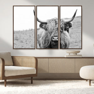 Newfoundland Cow Art Wall Art, Black White Cow Art Wall Art