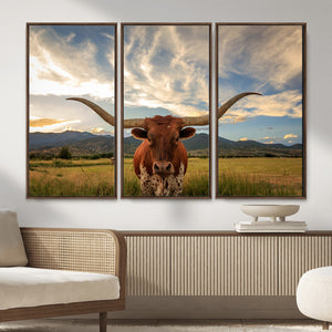 Texas Longhorn Canvas Wall Art – Majestic Triptych Animal