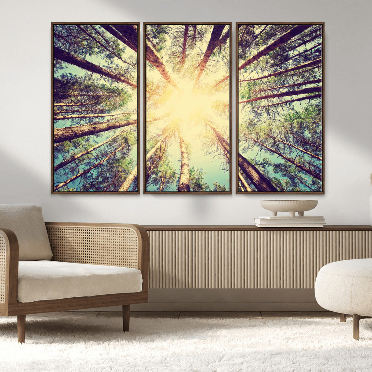 Tree and Sunshine Canvas Print