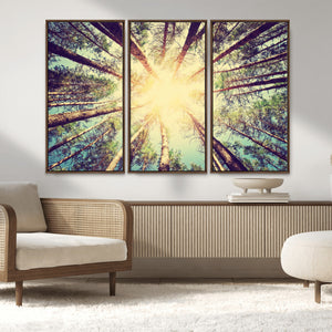 Tree and Sunshine Canvas Print