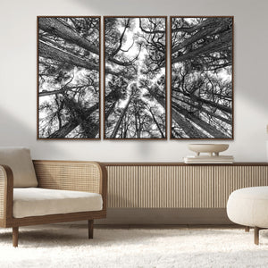 Trees Contemporary Art Canvas Print