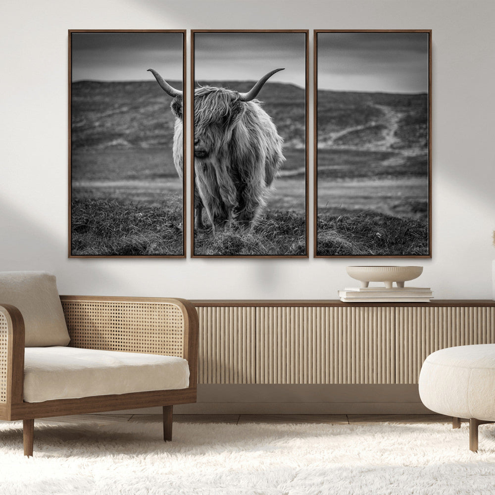 Fluffy Cattle Wall Art Print, Highland Cow Canvas, Framed