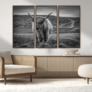 Fluffy Cattle Wall Art Print, Highland Cow Canvas, Framed