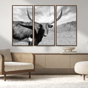 Cattle Wall Art Longhorn Cow Canvas Print