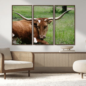 Longhorn Cow Animal Wall Art Canvas Print