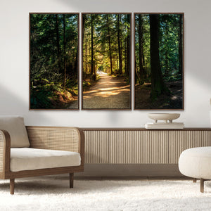 Sunlit Forest Pathway Canvas Print | 3 Panel Large Nature