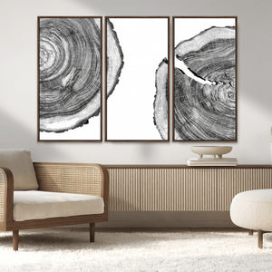 Abstract Large Tree Rings – Minimalist Black and White Wood