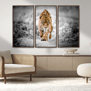 Jaguar Wall Art Canvas Print - Majestic Big Cat in Focused