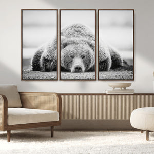 Resting Grizzly Bear Wall Art Canvas Print – Majestic Lazy