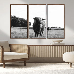 Black and White Highland Cow Wall Art Canvas Print | Rustic