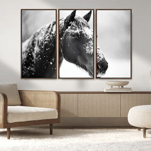 Horse Canvas Print - Winter Horse Snow Wall Art Canvas Print