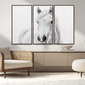Majestic White Horse Wall Art | Ready to Hang and Framed |