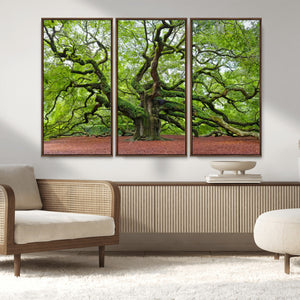Framed Angel Oak Tree Wall Art - 3-Panel Canvas Prints,