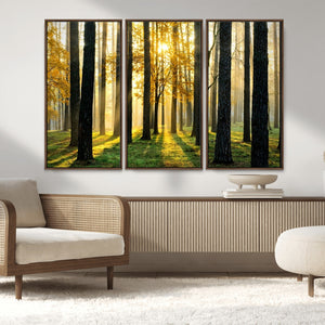 Sunlit Forest Wall Art Canvas Print – Large Framed Woodland