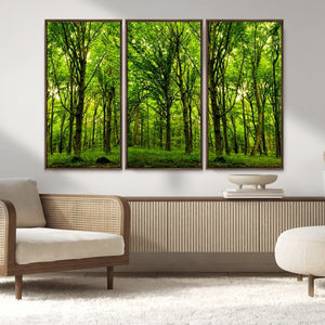 Lush Green Forest Canvas Print | 3-Panel Forest Wall Art |