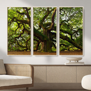 Angel Oak Tree Wall Art Canvas Print | Forest Tree Nature