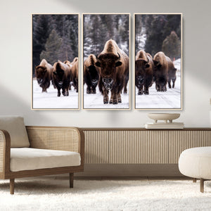 Bison Wall Art Canvas Print- Bison Herd Canvas Wall Art –