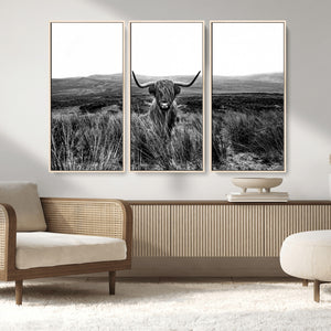 Black and White Highland Cow Canvas Wall Art, Longhorn
