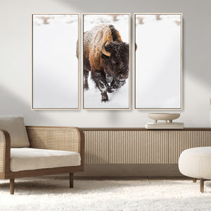 Bison Winter Wall Art Canvas Print For Farmhouse Decor