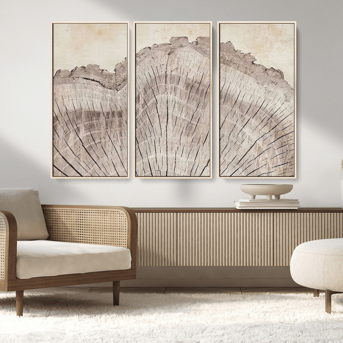 Tree Ring Wall Art Triptych, Rustic Wood Ring Canvas Print,
