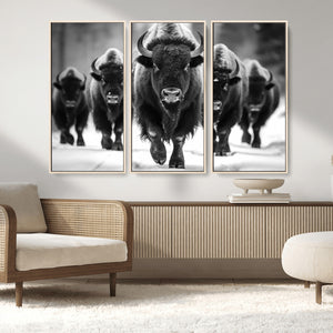 American Bison Art | Buffalo Herd Wall Art Canvas Print, BW